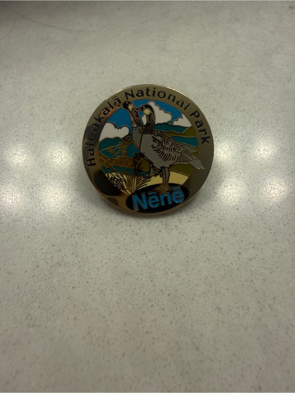 Haleakalā National Park Nēnē Enamel Pin - Blue, Green, Tan
